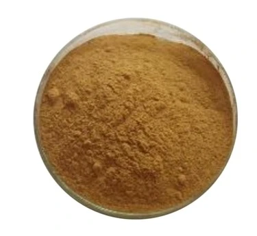 Reishi Mushroom Extract2 Reishi Mushroom Extract2
